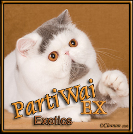 Parti Wai Ex Exotics