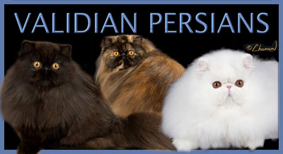 Validian Persians
